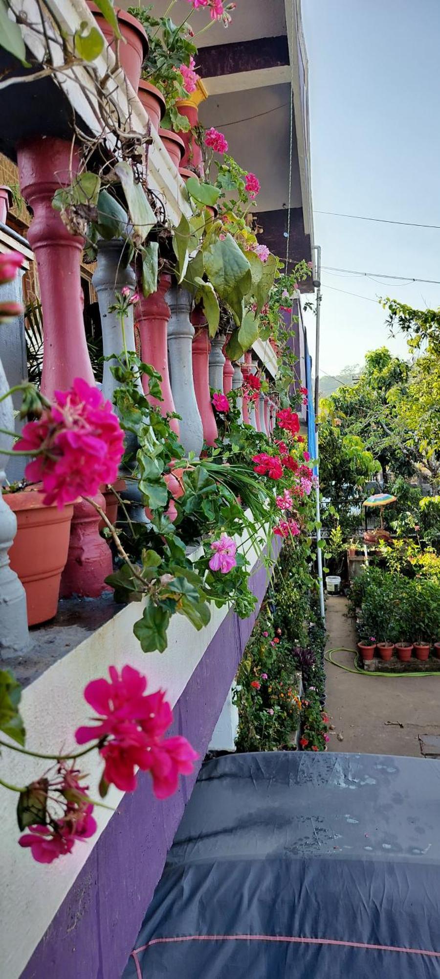 Royal Palm Homestay Мадікері Екстер'єр фото