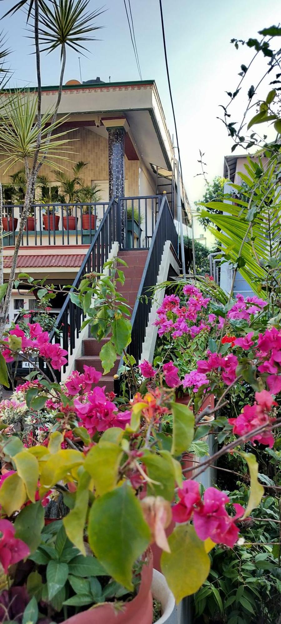 Royal Palm Homestay Мадікері Екстер'єр фото